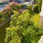 Selyemakacapartman Balatonlelle