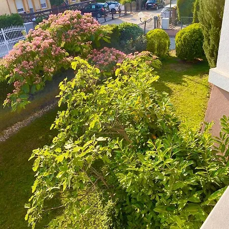 Selyemakacapartman Balatonlelle